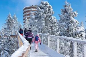 From Kraków: Mountain Treetop Walk & Zakopane Day Trip