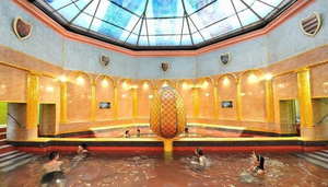 Spa Sklené Teplice