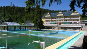 Spa Vy?né Ru?bachy