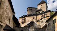 Orava