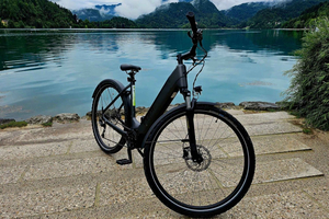 Bled: Shuttle til Bohinj og cykeltur tilbage til Bled