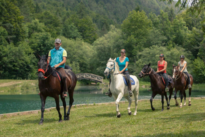 Bled: paardrijexcursie met transfer