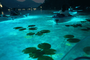 Bled: Transparent Kayak Tour with Local Guide on Lake Bled