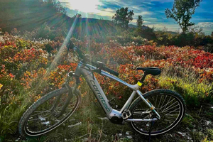 Divača: Škocjan-hulerne – elcykelleje fra Divača