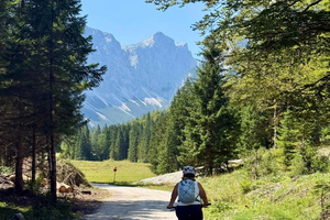 Elcykel i Kranjska Gora: Privat elcykeltur i Julianske alper
