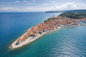 From Koper: Piran Riviera & Local Flavors