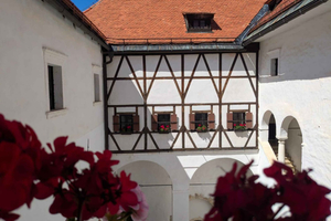 From Ljubljana: East Slovenia Backroads Tour with Meal
