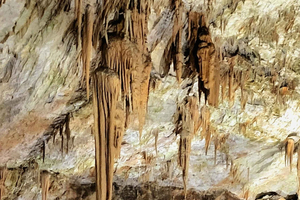 Depuis Ljubljana : visite guidée des grottes de Postojna et du château de Predjama