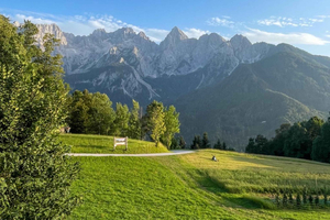 Kranjska Gora: Malerisk tur i de Juliske Alper – privat cykeltur