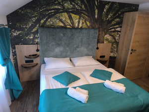 Apartmaji & Wellness Gobi - Olimje