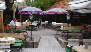 Beli konj pub Slovenske konjice