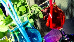 Bellavita Bar Koper