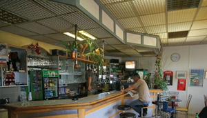 Bos bar