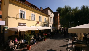 Corso
