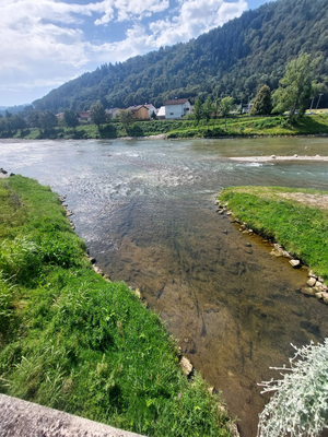 Društvo vodnih športov Posejdon