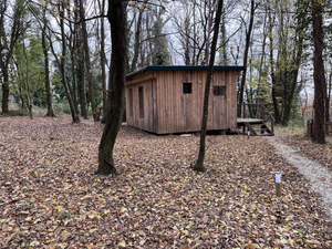 Living Forest Resort