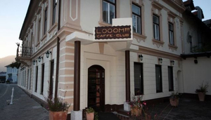 Looom bar