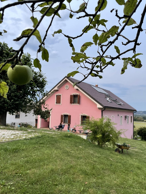 Pension Merkež - Guest house
