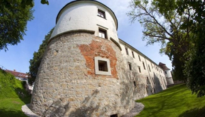 Posavje Museum Brezice