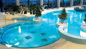 Terme Dolenjske Toplice