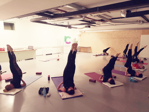 Vitalityoga Novo mesto