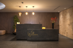 Wellness Elegans, Brdo pri Kranju