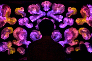 Andetag Breathing Art Experience Ticket