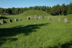 Estocolmo: Enköping, petroglifos y vikingos (tour de 1 día, 8 horas)