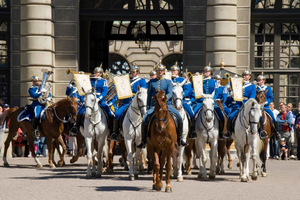 Estocolmo: tour por Gamla Stan y ceremonia del cambio de guardia
