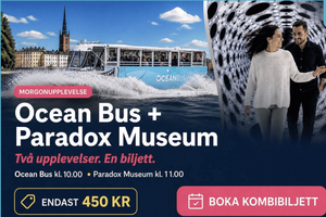 Стокгольм: автобусная экскурсия Ocean Bus и входной билет в музей Paradox