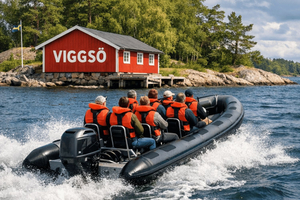Stockholm: ABBA Tour with Boat Trip to Viggsö and Meal