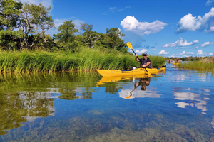 Stockholm Archipelago: Fun-Day Kayaking with Island Lunch