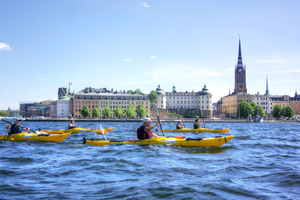 Stockholm: Guided Kayak City Tour & Optional Midsummer Meal