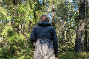 Estocolmo, Excursión en busca de setas y plantas silvestres con un experto