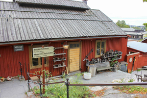 Stockholm: Personalisierte Tour mit Guide für Familien