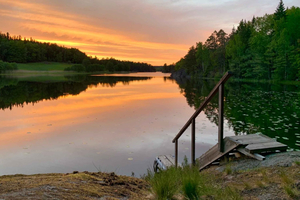 Stockholm: Sunset Hike in Tyresta National Park with Meal