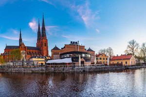 Privat dagstur til Uppsala og Sigtuna fra Stockholm