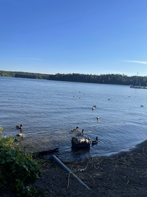 Hasselby beach & boat club