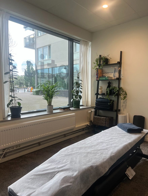 Pure Motion: Naprapat, Massage & Rehab Hammarby Sjöstad