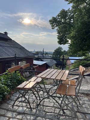 Restaurant Krogen Stora Gungan