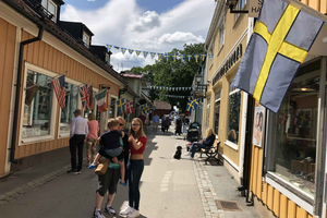De Estocolmo: Viagem guiada de 1 dia à cidade de Sigtuna