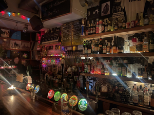 Snotty Sound Bar