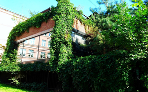 Griboyedov Club