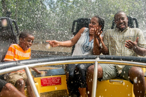 Tampa: Busch Gardens Tampa Bay Ticket & Multi-Park Options