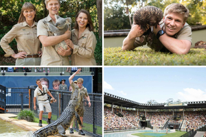 Brisbane: Croc Connection Transfers & Entry to Australia Zoo