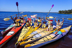 Noosa Everglades: Truly Sustainable Guided KAYAK Tour