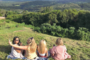 Noosa: Maleny & Montville Tour met lunch en wijnproeverij
