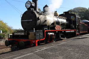 Sunshine Coast: VIP Booth Shared Mary Valley Rattler