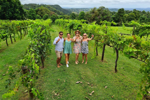 Visite des vignobles, distilleries et brasseries de la Sunshine Coast avec déjeuner