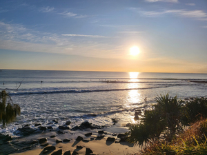 Alexandra Headland The Bluff